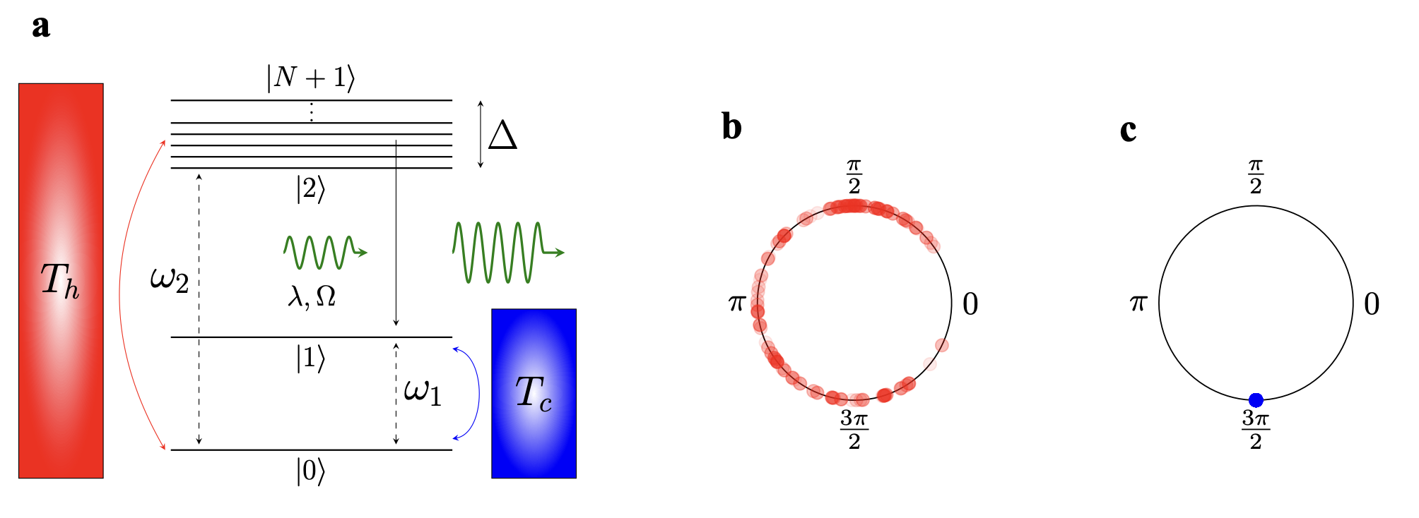 Figure 1. (a) Schematic diagram of the quantum thermal machine considered. The red and blue rectangles represent hot and cold baths, the horizontal lines represent the quantum energy levels of the working medium, and the green wavy lines represent laser light. Contrasting synchronization behavior of the system when it acts as an engine (b) and refrigerator (c). In the “chaotic” engine regime the phases are distributed uniformly between [0,2π] whereas in the “calm” refrigerator regime the phases are all localized at 3π/2.