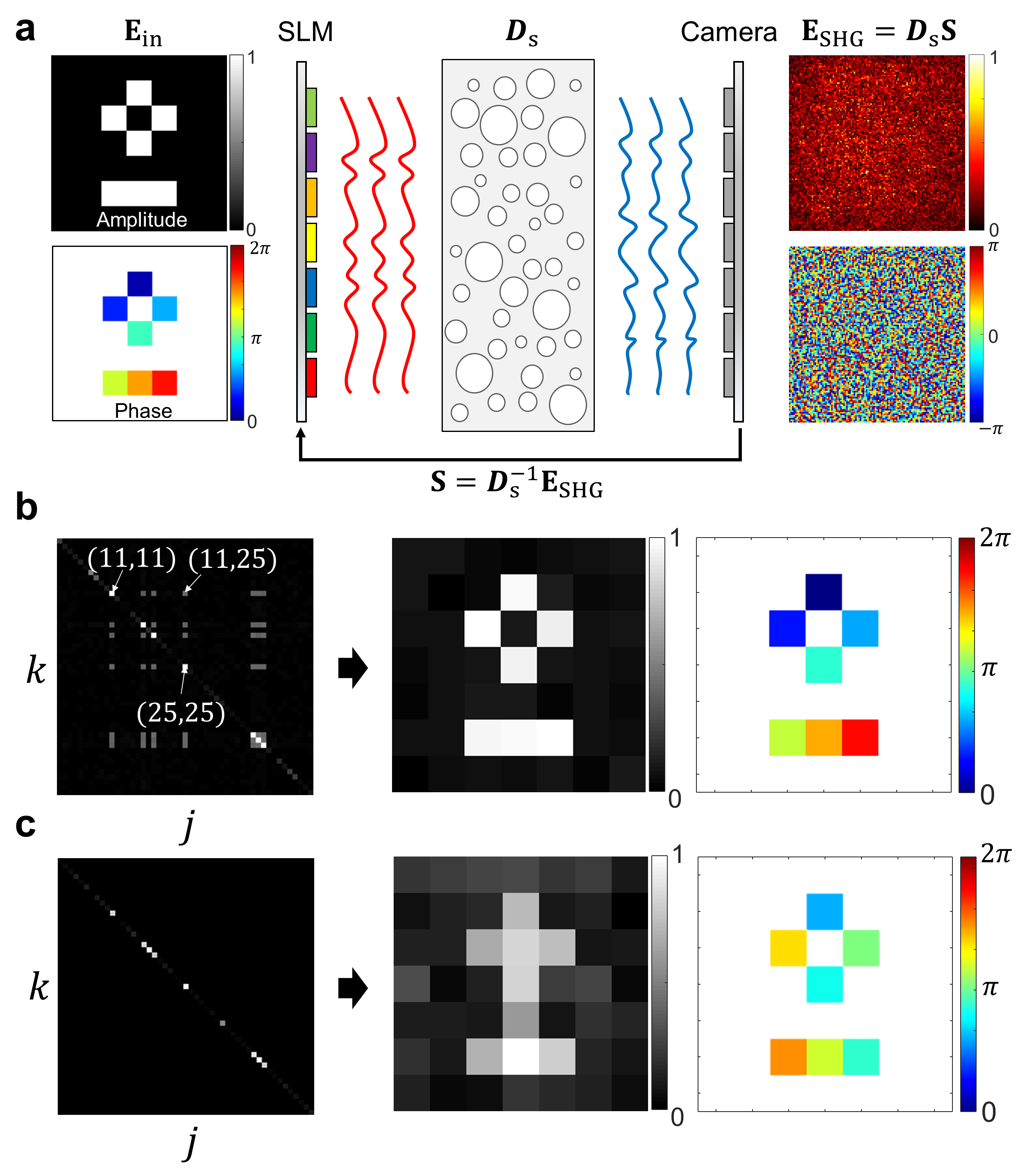 Figure 2. Nonlinear optical encryption using tensor
            The information of light that is scattered and modulated by the nonlinear scattering medium randomly changes, making it difficult to reconstruct the original information, as shown in the right image of (a). This can be referred to as optical encryption. However, by knowing the input-output response characteristics, it is possible to reconstruct the original information from the random output speckle, as shown in (b). This process can be considered as decrypting the encrypted information. With only linear response characteristics that do not involve cross-terms, it was not possible to correctly reconstruct the information, as shown in (c).
            