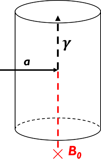 [그림1] 헤일로 액시온과 (a) 자기장의 (B0) 상호작용, 그리고 γ로의 변환. 실린더는 마이크로파 공명 공진기를 의미합니다.