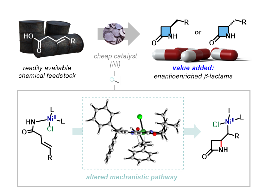 Figure 1. Nickel catalyzed synthesis of chiral β -lactams
            Researchers at the Institute for Basic Science (IBS) have developed a novel synthetic method using earth-abundant nickel catalysts to access chiral β -lactams in high enantioselectivity.