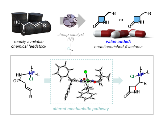 Figure 1. Nickel catalyzed synthesis of chiral β -lactams
            Researchers at the Institute for Basic Science (IBS) have developed a novel synthetic method using earth-abundant nickel catalysts to access chiral β -lactams in high enantioselectivity.