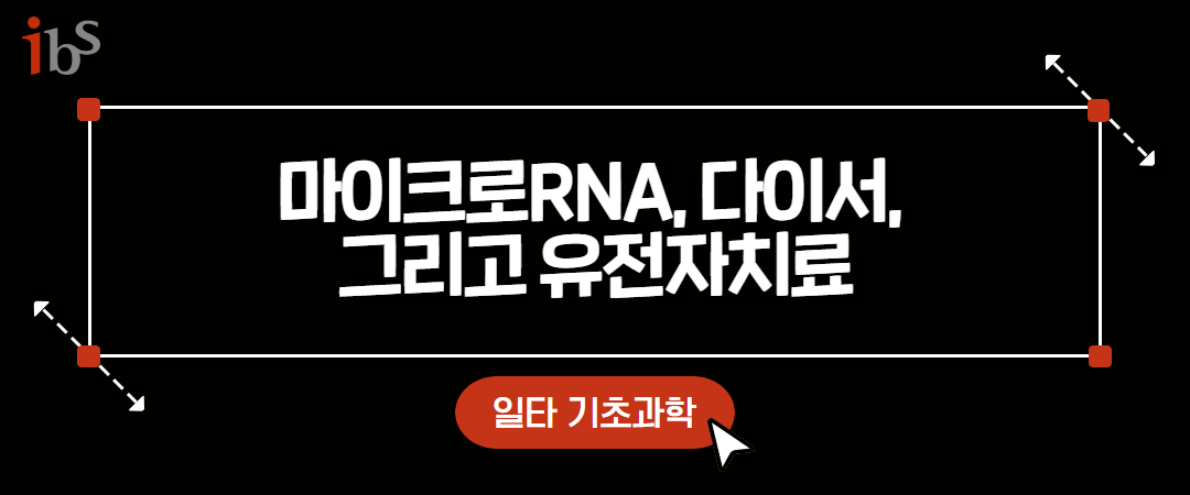 마이크로RNA, 다이서, 그리고 유전자치료