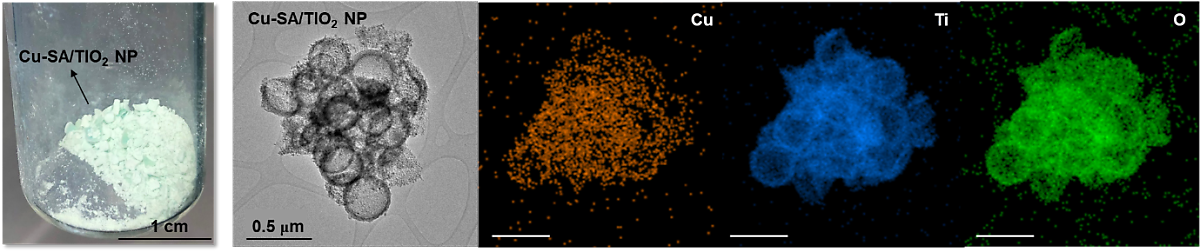 Figure 1] Cu/TiO2 catalyst and its nanostructure