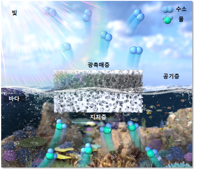 [Figure 3] Porous rubber-hydrogel composite was used to achieve high surface
tension, which allows the structure to float on water. The catalyst is stably fixed
within the composite. Thanks to the properties of the hydrogel, water can be
continuously delivered to the photocatalyst.
