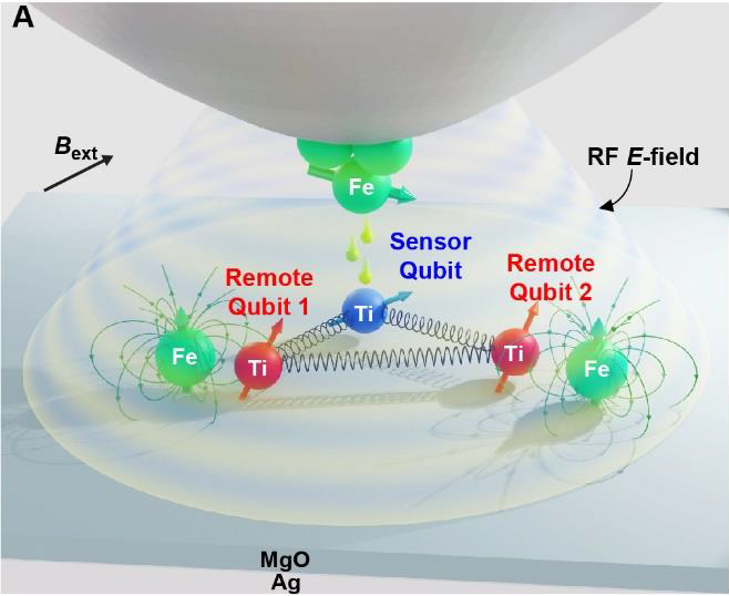 Figure 1. The STM tip (Fe) operates the sensor qubit and romote qubits which creates the new multiple qubit platform.