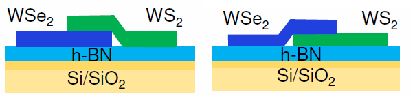 Figure 1. Two different vdW heterostructures. The left consists of WS2 on top of WSe2, and the right consists of WSe2 on top of WS2. The two TMD layers are stacked on top of h-BN and Si/SiO2, which are substrates.