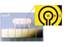 ▲ Point-of-care cancer detection sensor developed by Center for Soft and Living Matter ⓒAdvanced Materials