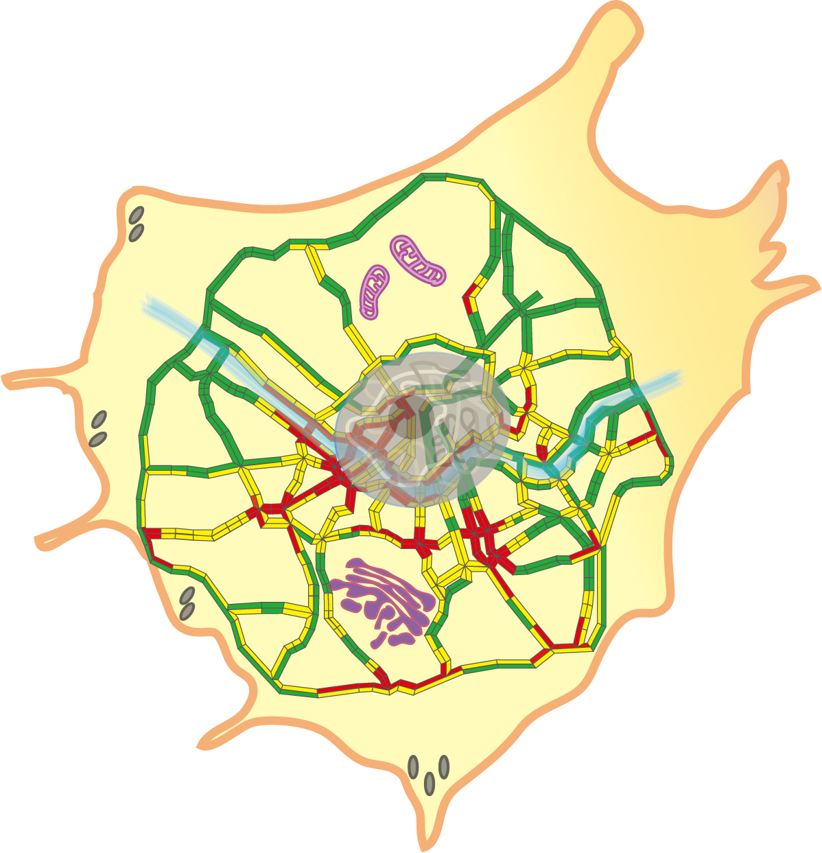 Figure 1. Schematic representation of a cellular traffic pattern drawn with the road network in and around Seoul.