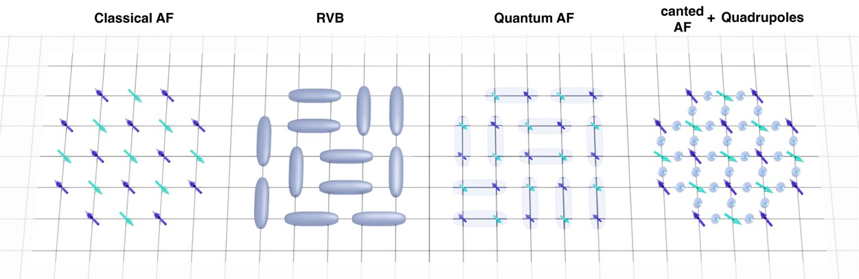 Figure 1. Spin one-half moments on a square lattice. In addition to the classical antiferromagnetic order (classical AF), the spin moments can have various magnetic ground states, such as superposition of spin-singlet configurations (resonant valence bond; RVB) or antiferromagnet with large quantum fluctuations (quantum AF). In iridium oxide Sr2IrO4, spin quadrupole moments coexist with a canted antiferromagnet order.
        