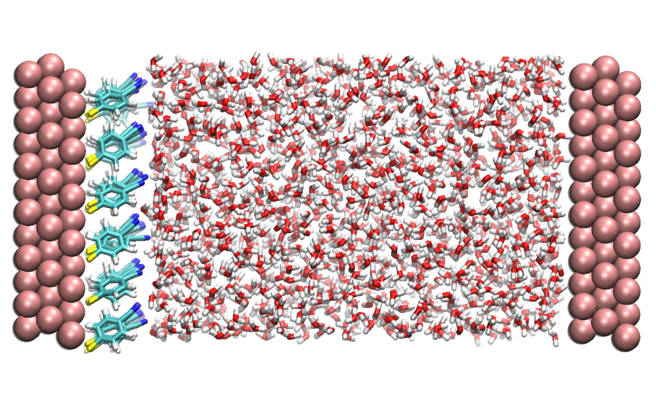 Figure 2. A snapshot taken from the computer simulation model of the system in this study. On both sides are three layers of gold atoms representing the metal electrode with adsorbed organic molecules on the left electrode. The space between the electrodes is filled with water molecules. 