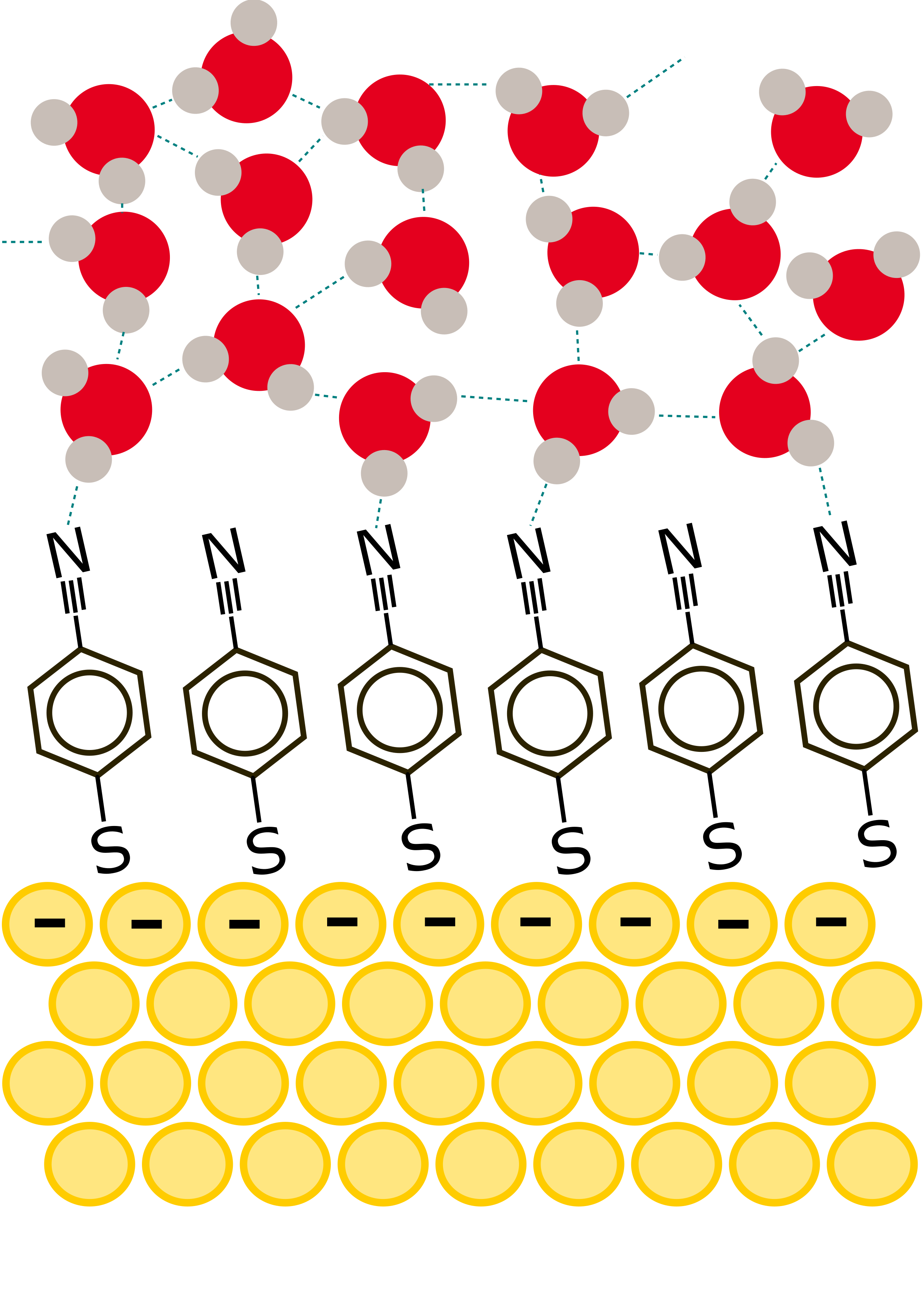 [그림 1] 금(Au) 표면의 흡착 분자와 주변의 물 분자들을 나타낸 그림.