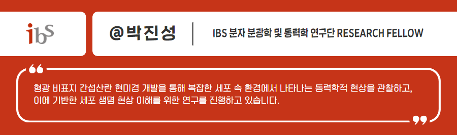 ibs 박진성 ibs 분자 분광학 및 동력학 연구단 형광 비표지 간섭사란 현미경 개발을 통해 복잡한 세포 속 환경에서 나타나는 동력학적 현상을 관찰하고, 이에 기반한 세포 생명 현상 이해를 위한 연구를 진행하고 있습니다.