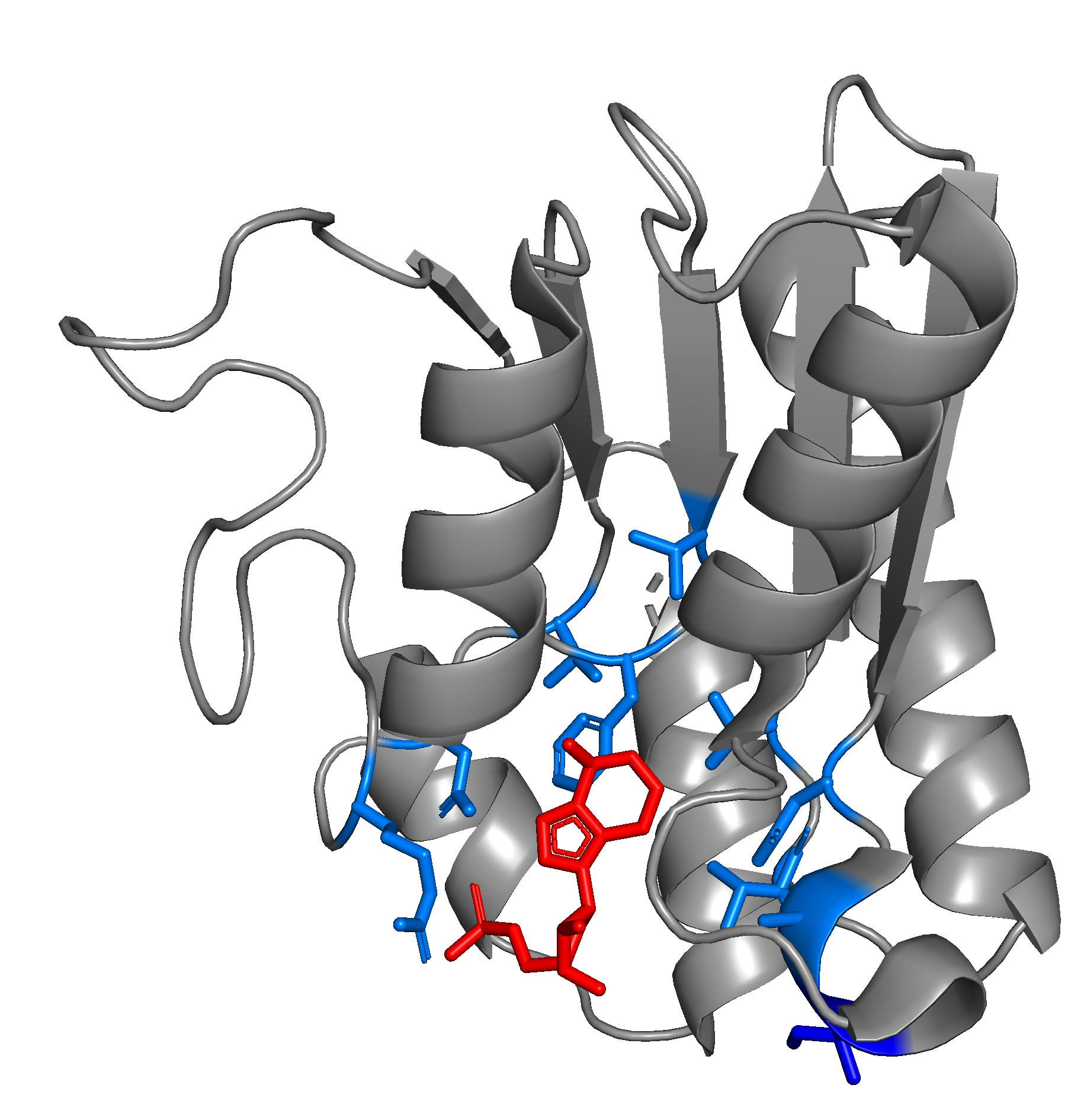 [그림 5] 아데닌 탈 아민효소의 3D 구조. 빨간색 그림은 표적 DNA이며 주변의 파란색 그림은 표적 DNA 바로 근처에 존재하는 탈 아민효소의 아미노산 잔기입니다.
