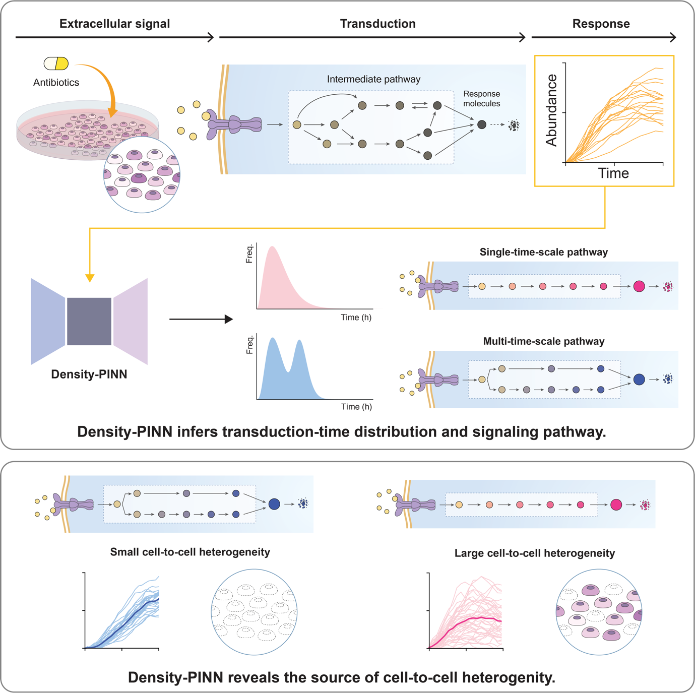 Figure 1. Regions of 11C-acetate uptake at the tumor boundary in patients with glioblastomas