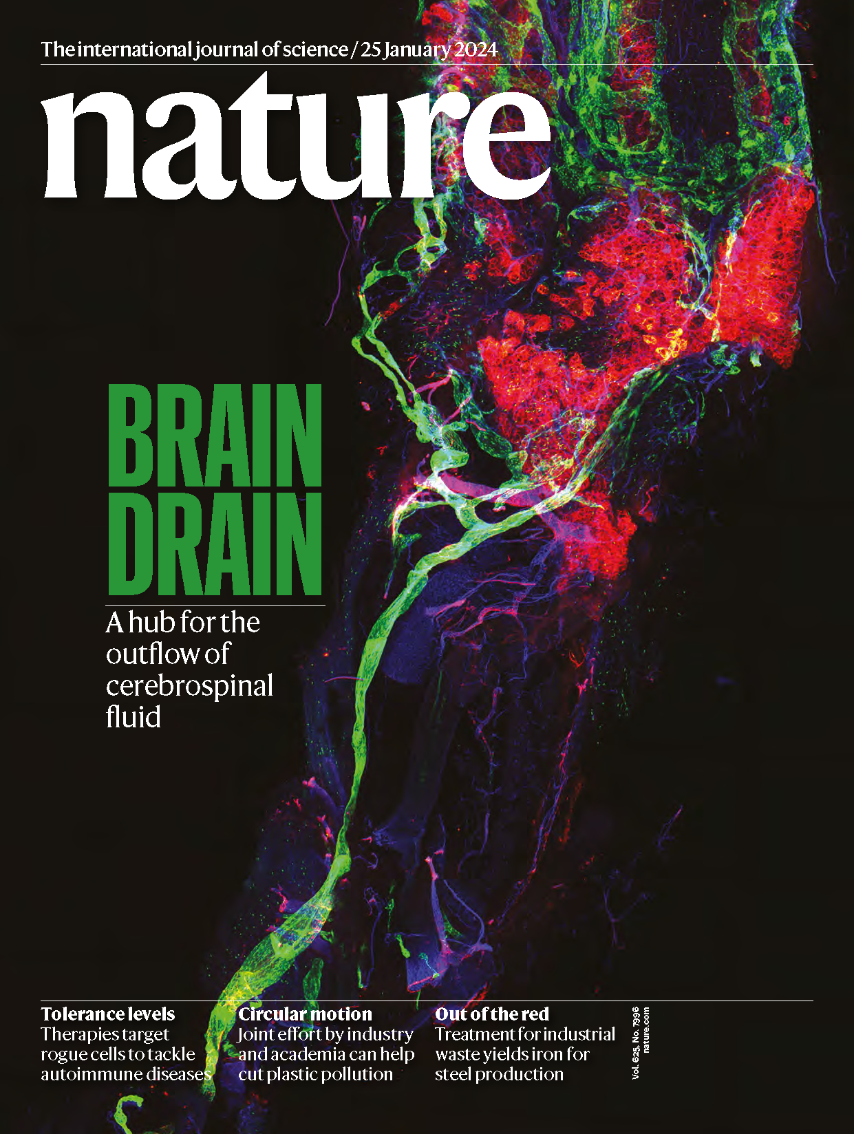 Figure 2. Cover image
    The study “Nasopharyngeal lymphatic plexus is a hub for cerebrospinal fluid drainage” has been selected as the cover image of the January 25th, 2024 issue of Nature.