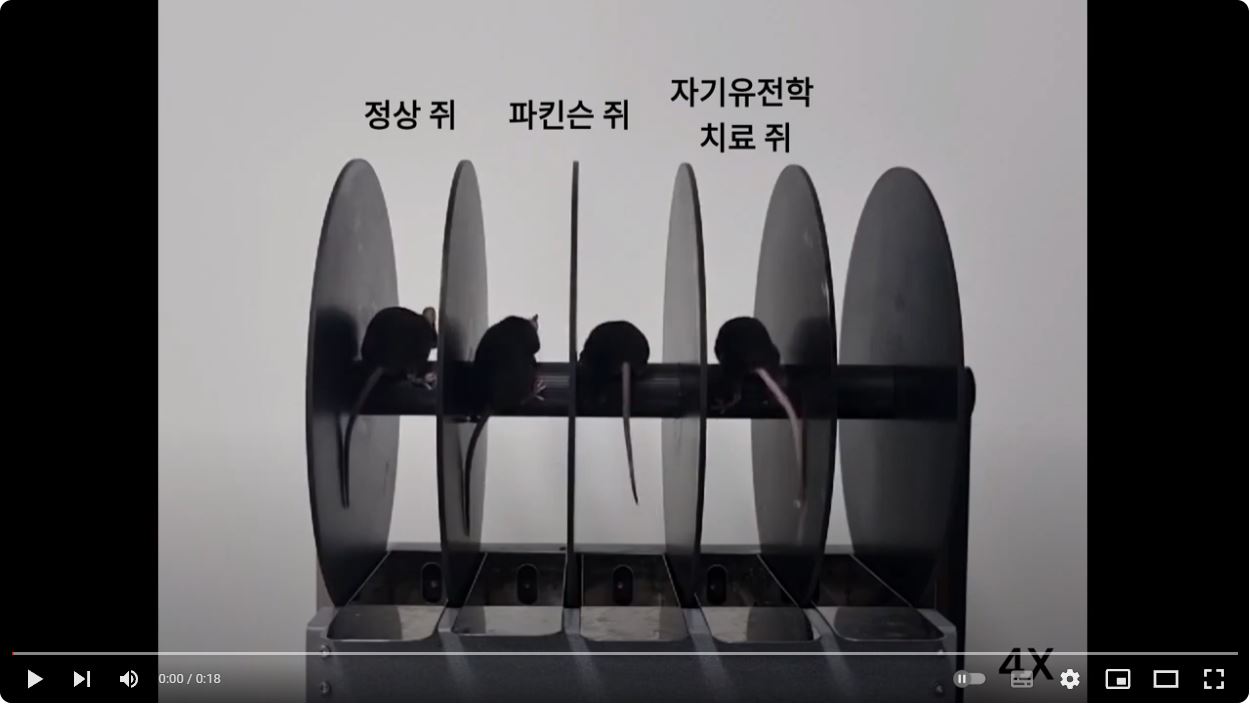 ▲ 유튜브 보러가기