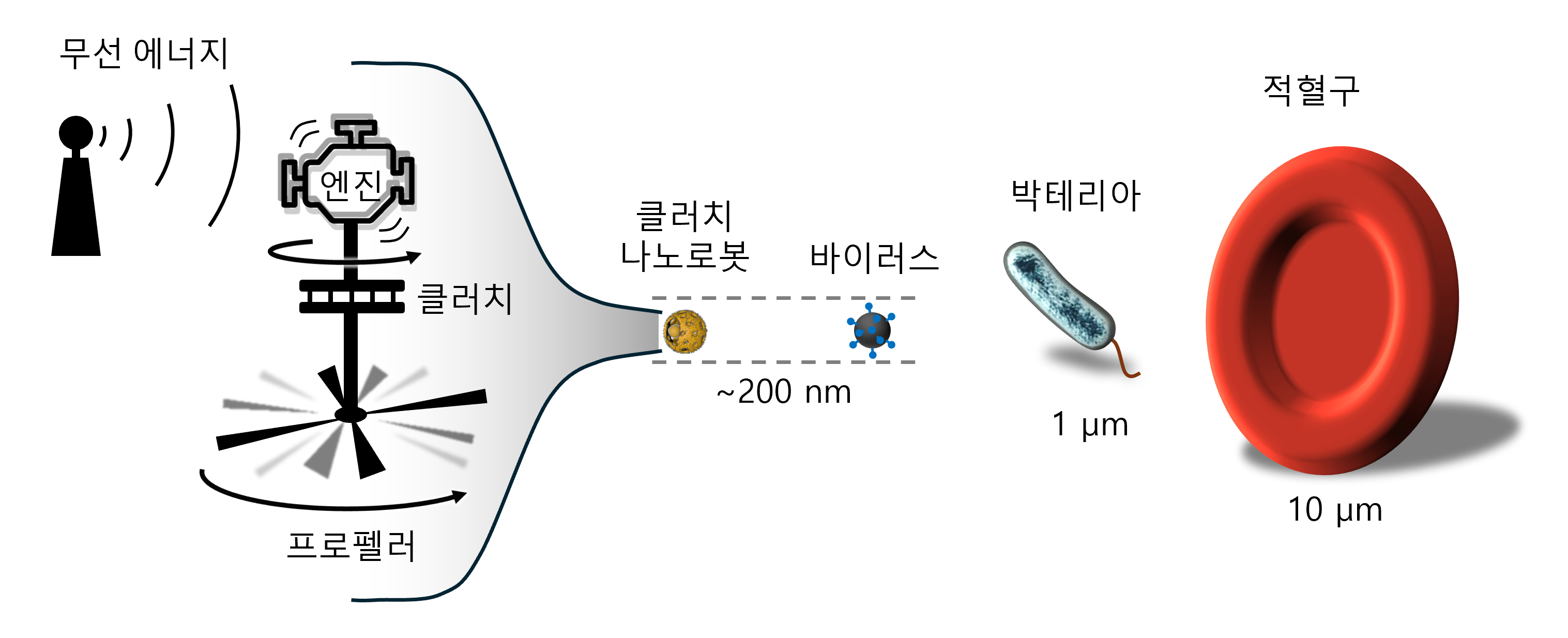 [그림 1] 클러치 나노로봇 크기를 나타낸 모식도 