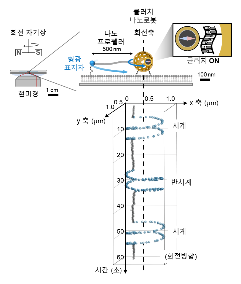 [그림 3] 프로펠러 방향 조절이 가능한 클러치 나노로봇