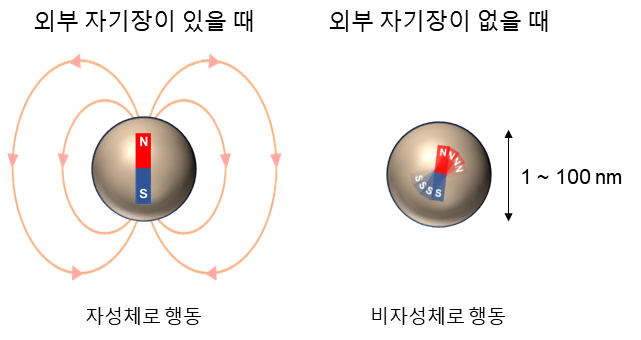 [Figure 2] Magnetic nanoparticles behaving as magnetic particles in the presence of an external magnetic field (left), magnetic nanoparticles rapidly changing their direction of magnetization and behaving as non-magnetic particles in the absence of an external magnetic field (right).