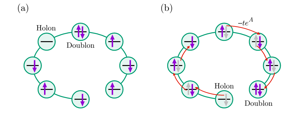 Figure 1. Schematic diagrams of (a) doublon (doubly occupied site) and holon (empty site) excitations, and (b) their motion in the presence of non-reciprocal hopping. As illustrated in (b), non-reciprocal hopping, denoted by red arrows, results in the rightward (leftward) movement of doublons (holons). The gray arrows in b represent the initial positions of fermion spins prior to hopping. Under open boundary conditions, doublon and holon become localized at opposite edges of a one-dimensional chain. This segregation in localized doublon and holon is responsible for the Non-Hermitian skin effect.