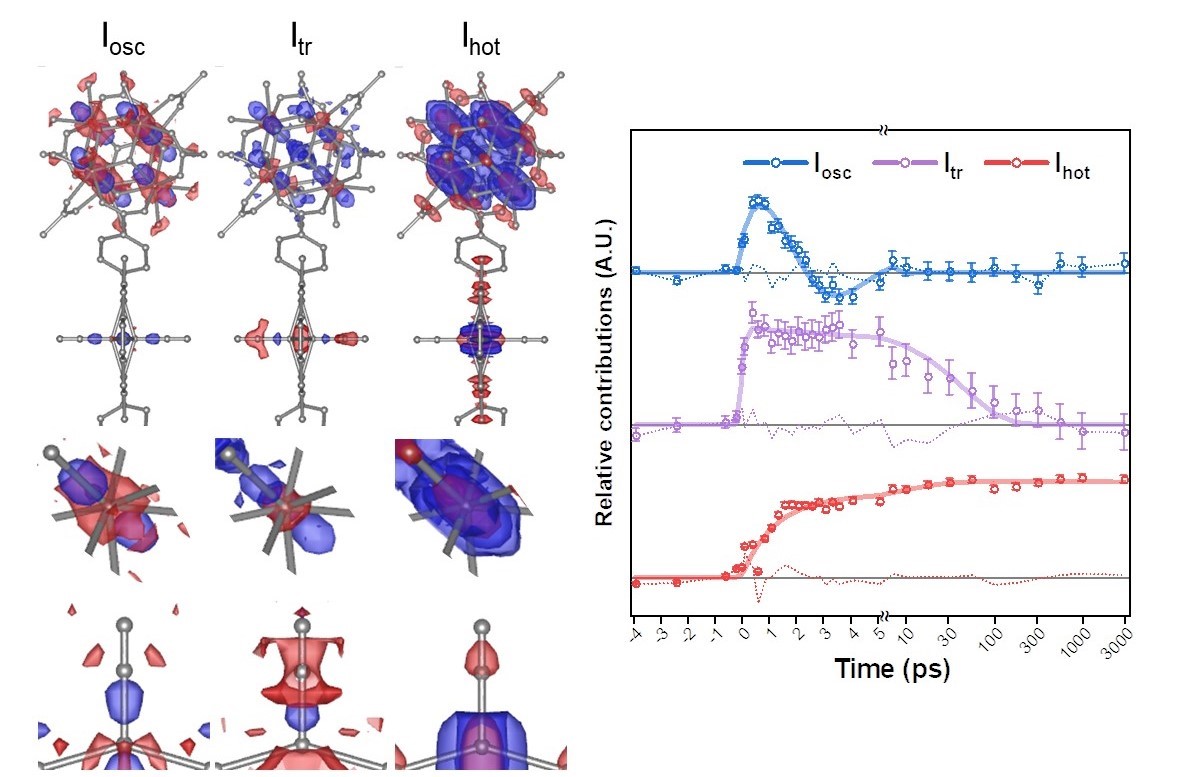 Figure 2. Structural changes of PCN–224(Fe) visualized using the change of the electron density and temporal behaviors of the structural changes. Iosc represents the oscillating structural change, Itr represents the transiently generated structural intermediate, and Ihot represents the thermally hot structural intermediate. The top panel of the structural change depicts the iron porphyrin and zirconium clusters, while the middle and bottom panels provide an enlarged view of the zirconium atoms within the zirconium cluster and an iron atom within an iron porphyrin, respectively. A red color indicates a loss of electron density, signifying when an atom moves away from its previous position. Conversely, a blue color signifies a gain in electron density as the atom moves to that position. Iosc oscillates with a period of 5.55 picoseconds (10−12 seconds), damping at 2.68 picoseconds, while Itr emerges instantaneously after irradiation (within 200 femtosecond) and dissipates with a time constant of 47.1 picoseconds. Ihot is generated with time constants of 1.143 picoseconds and 11.32 picoseconds and persists for up to 3 nanoseconds (10-9 second).