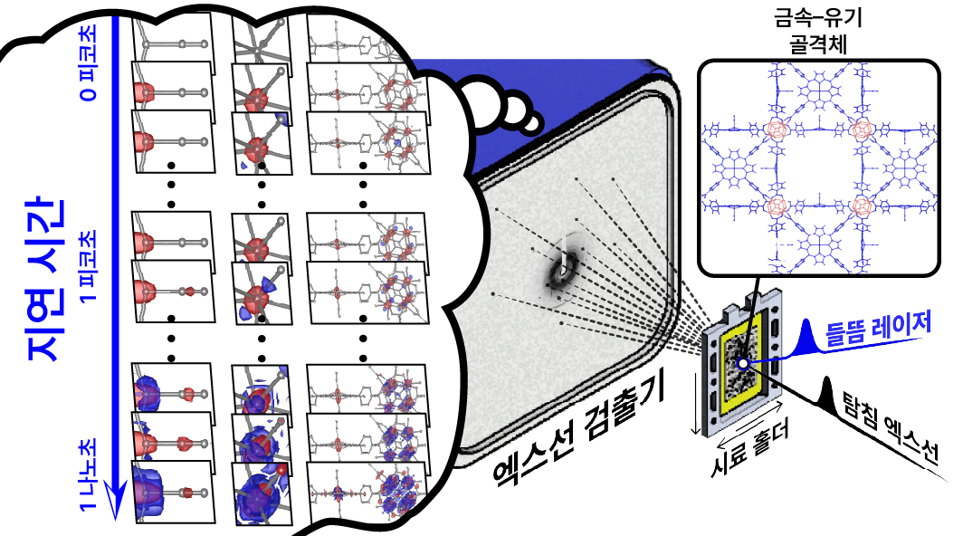 [그림 1] 금속–유기 골격체에 대한 시간분해 연속 펨토초 결정학 실험 구성도
            실험을 위해 금속–유기 골격체에 강렬한 펨토초 자외선 레이저 펄스를 조사해 광해리 반응을 유도했다. 엑스선 자유 전자 레이저 시설의 펨토초 엑스선 펄스로 펨토초 및 옹스트롬 시공간 분해능으로 금속–유기 골격체 내의 철 포르피린과 지르코늄 클러스터의 초고속 구조 변화를 직접 시각화할 수 있었다. 광 해리반응 후 금속–유기 골격체의 분자 구조는 시간에 따른 초고속 엑스선 펄스가 만들어내는 엑스선 회절 패턴을 측정함으로써 관찰됐다.