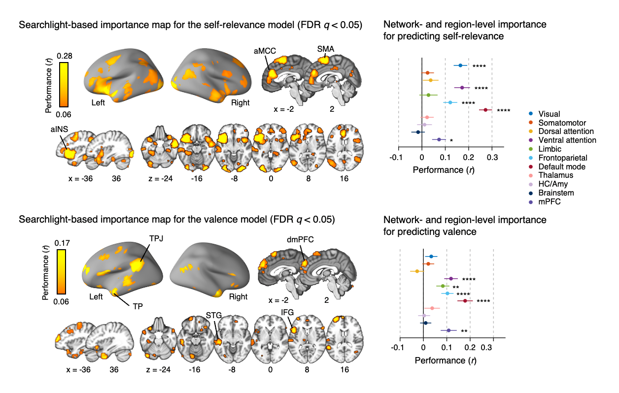 Figure 2. Important features of the self-relevance and valence models (virtual isolation analysis)
            The brain maps shown in the left panel illustrate the results of searchlight-based virtual isolation analysis for the self-relevance (top) and the valence model (bottom). The plots in the right panel show the virtual isolation analysis results for the self-relevance model (top) and the valence model (bottom), incorporating large-scale networks and selected ROIs. Each colored dot represents the prediction-outcome correlations for each network or region with bootstrap tests of 10,000 iterations.
            