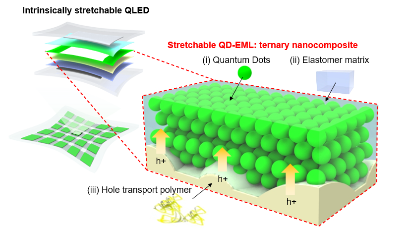 Figure 2. QD-based stretchable emission layer for intrinsically stretchable quantum dot light-emitting diodes
