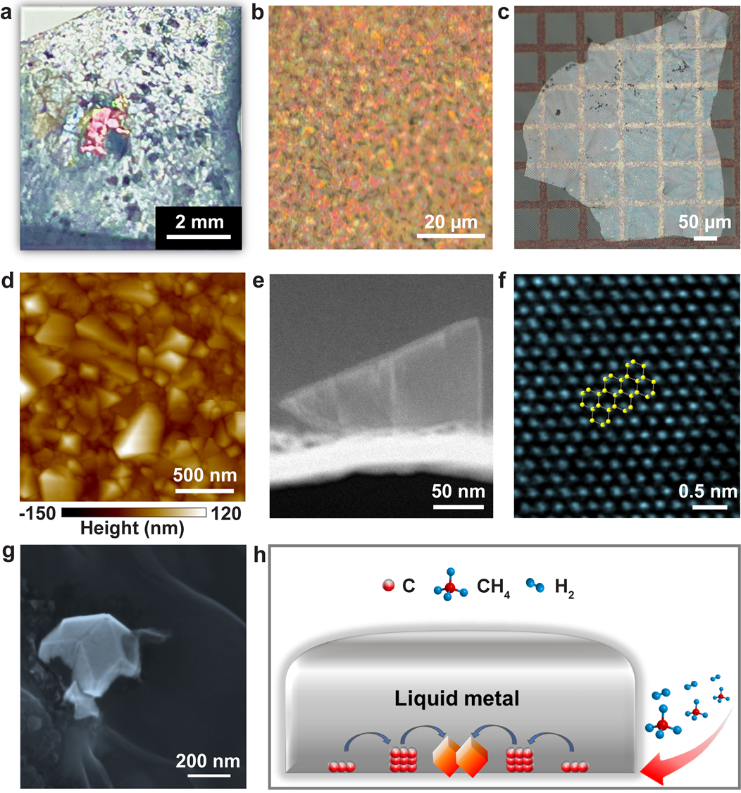Figure 1. Growth of diamond in liquid metal alloy under 1 atmosphere pressure. (a) A photo showing the as-grown diamond on the solidified liquid metal surface. (b) An optical image of the as-grown continuous diamond film on the solidified liquid metal surface. (c) An optical image of the as-transferred diamond film on a Quantifoil holey amorphous carbon film coated Cu TEM grid. (d) An atomic force microscopy topographic image of the as-transferred diamond film on the Cu TEM grid. (e) A cross-section TEM image of an as-grown single diamond particle on the solidified liquid metal surface. (f) An atomic resolution TEM image of the as-grown diamond. (g) A scanning electron microscopy image showing a grown diamond (partially) submerged in the solidified liquid metal. (h) Scheme showing the diffusion of carbon that leads to the growth of diamond at the bottom surface of the liquid metal.