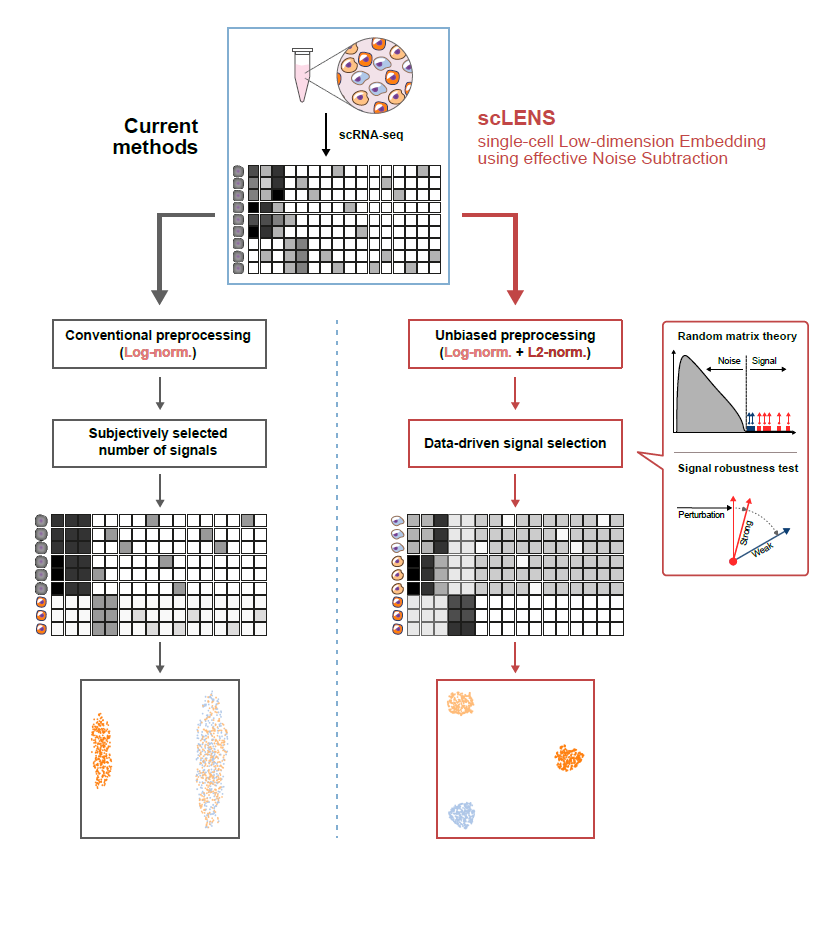 Figure 1. Overview of scLENS (single-cell Low-dimensional embedding using the effective Noise Subtract)