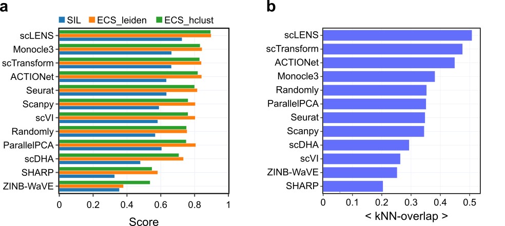 [그림 2] scLENS 성능
            a. scLENS는 11개의 다른 분석 도구들과 비교했을 때, 가장 높은 실루엣 스코어(파란색 막대)를 기록하였다. 이는 scLENS가 실제 세포 유형(true cell-type)을 가장 잘 반영하는 차원 축소 결과(임베딩)를 생성한다는 것을 의미한다. 더 나아가, 이 차원 축소 결과에 계층적 클러스터링(초록색 막대)과 그래프 기반 클러스터링(주황색 막대)을 적용하여 레이블을 얻었을 때, 실제 세포 유형과의 유사도가 다른 분석 도구들에 비해 가장 높게 나타났다.
            b. scLENS는 타 분석 도구들에 비해 원래 데이터로부터 얻은 k-최근접 이웃 구조와 가장 유사한 구조를 다운 샘플링된 데이터로부터 얻어낼 수 있음을 가장 높은 k-최근접 이웃 중첩 점수(kNN-overlap score)를 기록함으로써 입증했다.