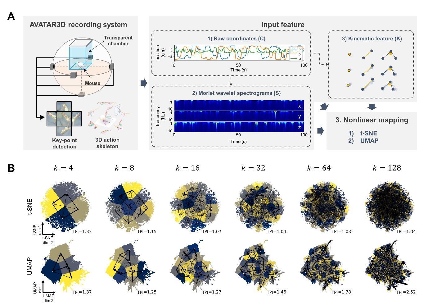 Figure 2. Schematic of the SUBTLE framework
        (A) The process of obtaining and analyzing 3D coordinates of key points from the movement of a mouse.
        1) On the left, it shows the process of extracting 3D raw coordinates of the mouse's movements using the AVATAR3D, while on the right, it shows the process of processing and analyzing the 3D coordinate data obtained from AVATAR3D.
        2) Extract the 3D action skeleton using the avatar.
        3) Extract kinematic features and wavelet spectrograms from the key point coordinates.
        4) Perform nonlinear t-SNE and UMAP algorithms; the embedding using UMAP developed in this study is called SUBTLE.
        (B) Results of nonlinear mapping
        It shows the embedding results using t-SNE and UMAP with an increasing number of clusters (k). t-SNE exhibits a tangled thread-like shape over time, whereas UMAP displays a well-aligned grid shape temporally. Additionally, UMAP consistently achieves higher TPI scores than t-SNE across all cluster numbers.