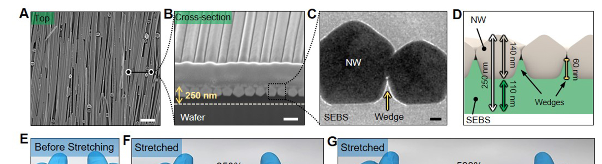 Highly conductive and elastic nanomembrane for skin electronics