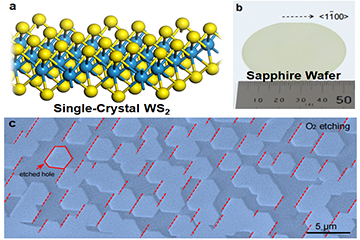 Ultra-Large Single-crystal WS2 Monolayer