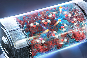 New research reveals the mechanism of ion transport in aqueous Li-ion batteries